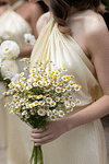 Amy | Sheath Twist Knot Pale Yellow Stretch Satin Maxi Bridesmaid Dress with Halter and Backless - Price #price_variant_lowest# - Pale Yellow - PromDressClub