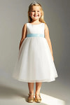 Akaks Blythe Flower Girl Dress Mist Blue A-Line Scoop Neck Tea Length Tulle Dress with Detachable Bow Image135018