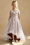 Akaks Eria Auburn Flower Girl Dress A-Line V-neck Lace Tulle Asymmetrical Hem Sleeveless 3D White Flowers Dress Image566299