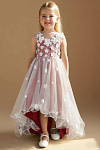 Akaks Eria Terracotta Flower Girl Dress A-Line V-neck Lace Tulle Asymmetrical Hem Sleeveless 3D White Flowers Dress Image919701