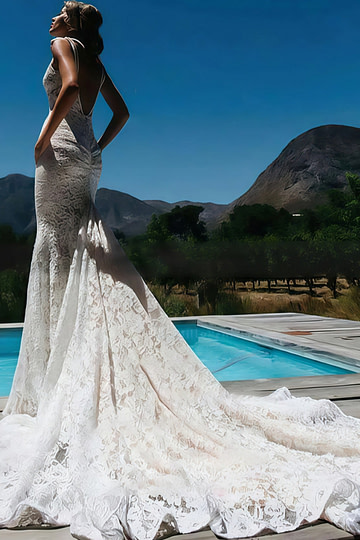 Janet | Exquisite Mermaid V Neck Backless Lace Wedding Dress with Long Train - White - PromDressClub