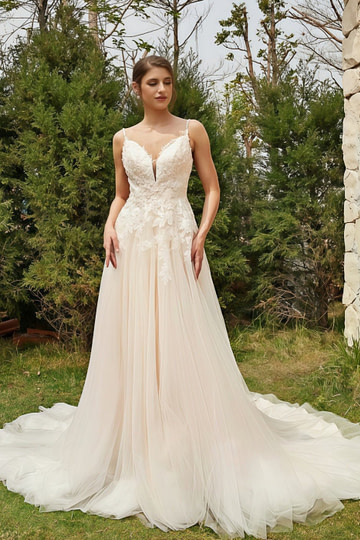 Laurel | Elegant A Line/Princess Spaghetti Strap V Neck Lace Tulle Wedding Dress with Train - Ivory - PromDressClub