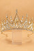 Rowan Sparkling Crystal Stellar Crown - Gold White