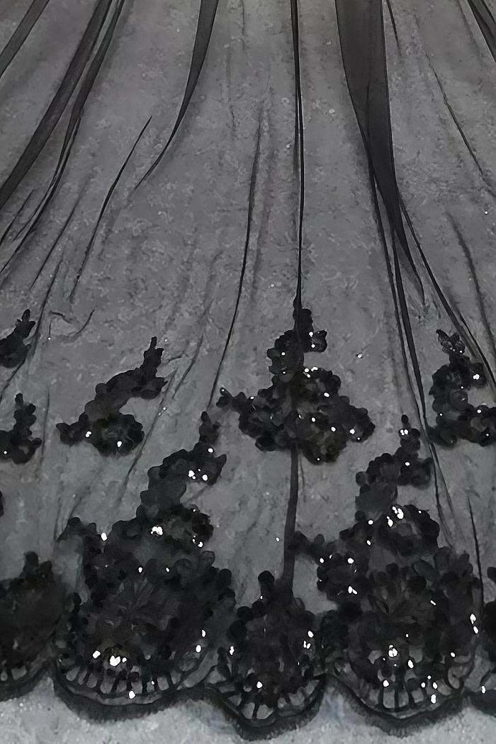 Akaks Cathedral Length Pippa Black Veil Wedding With Sequins Image873603
