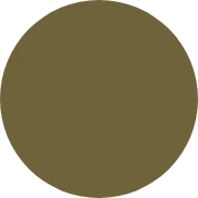 Olive Green Bridesmaid Dresses